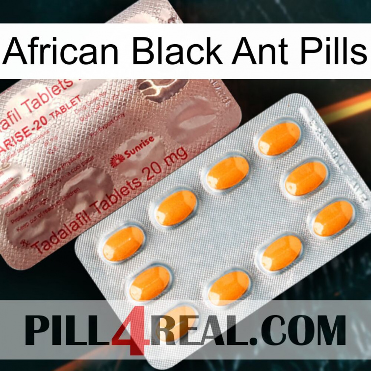 African Black Ant Pills new13